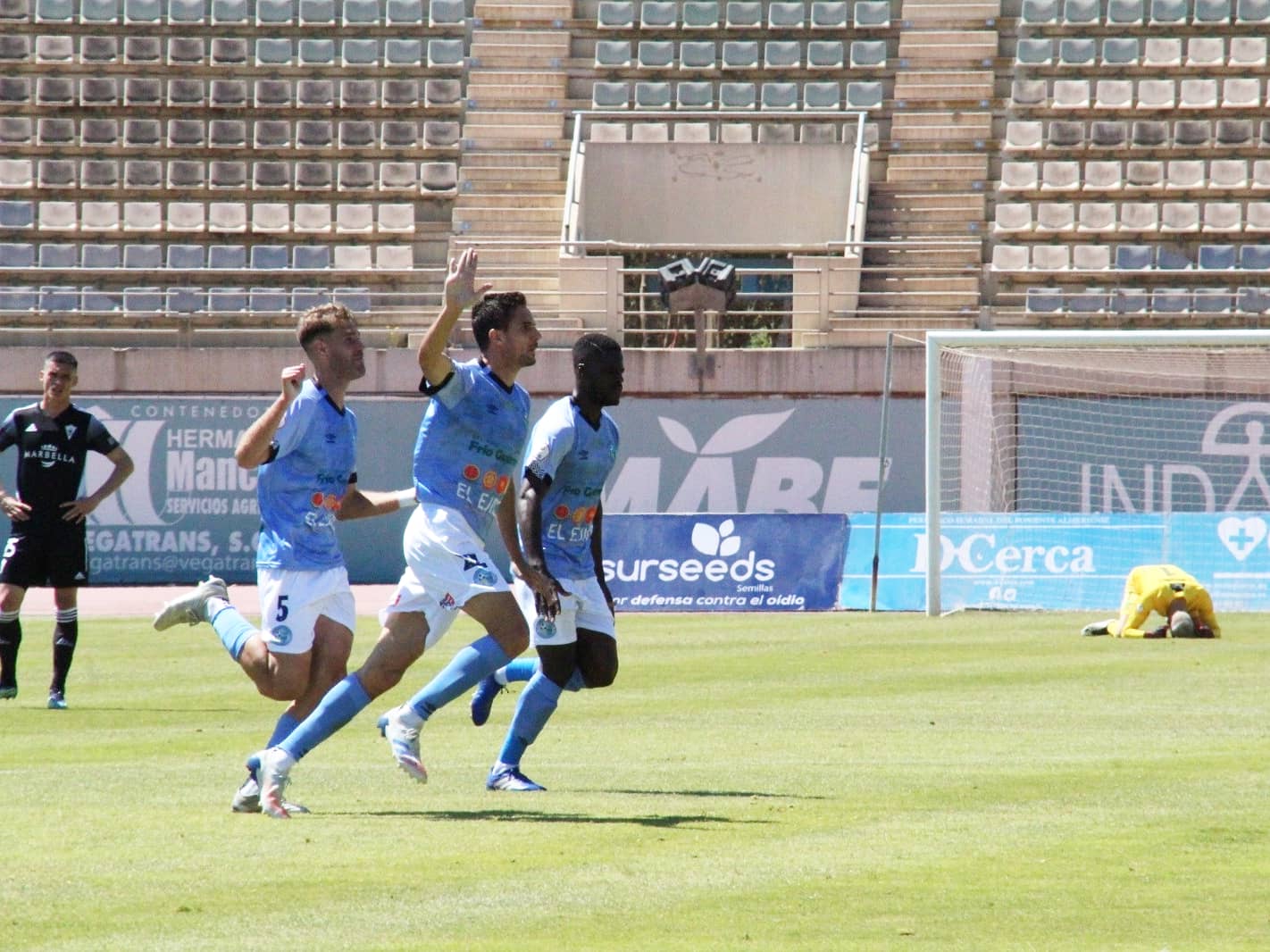 toni arranz