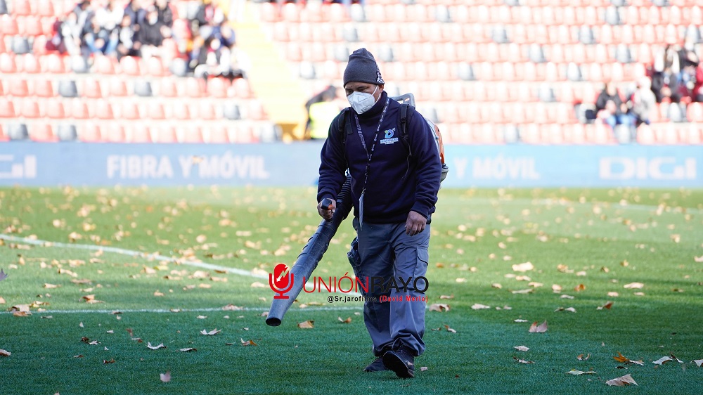 hojas campo cesped vallecas