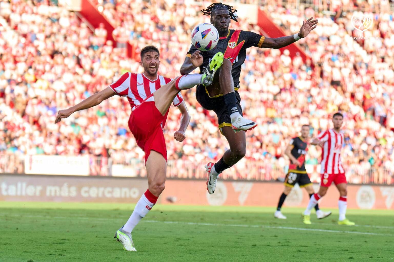 WhatsApp Image 2023 08 11 at 20.18.17