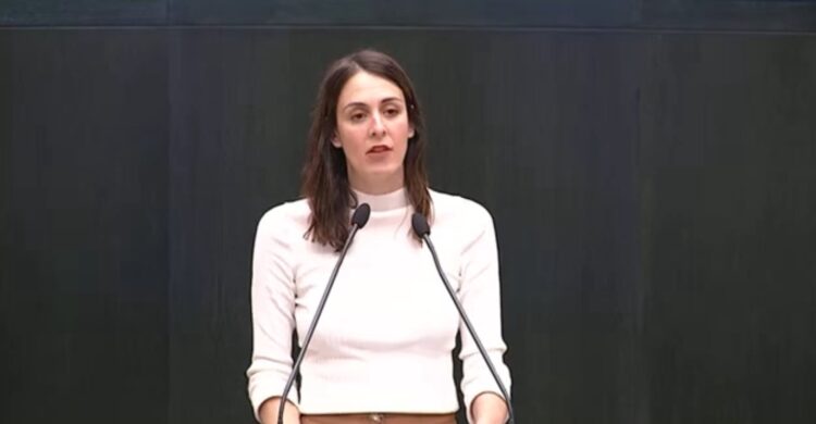 Más Madrid vota en contra de la Medalla al Honor: “Más útil es un estadio en condiciones en el centro de Vallecas” 1 img 1356 1