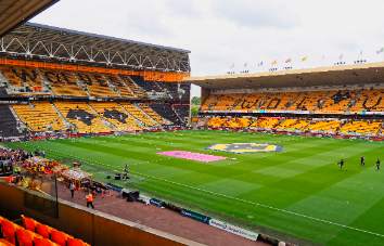Wolves vs Rayo