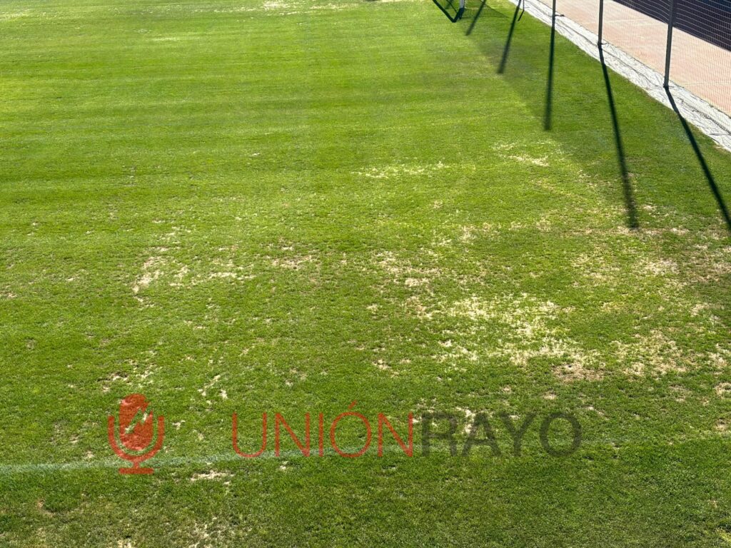 El césped de la Ciudad Deportiva vuelve a ser un contratiempo para el Rayo Vallecano 2 césped ciudad deportiva