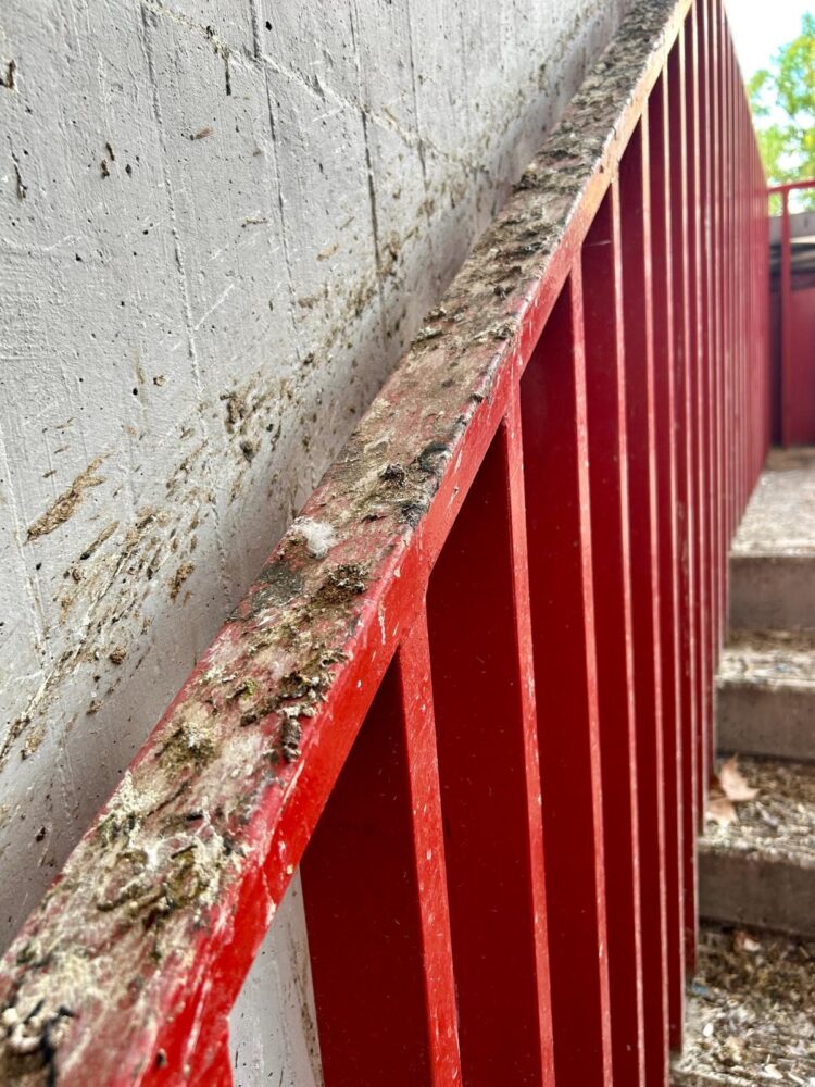 El pasamanos del estadio de Vallecas lleno de excrementos de animales 1 img 6492 1