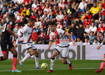 Sevilla Rayo Camello