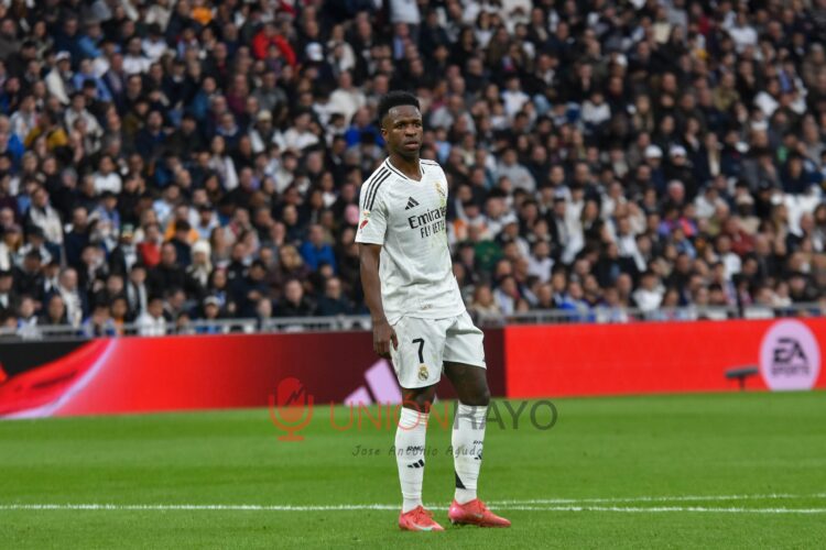 Vinicius