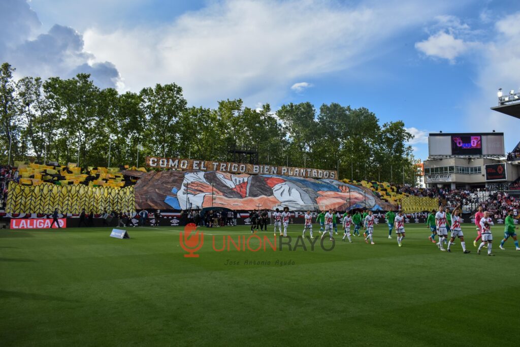 Rayo Betis galería