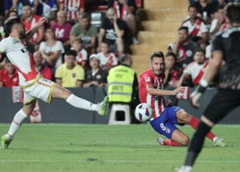 @saulniguez