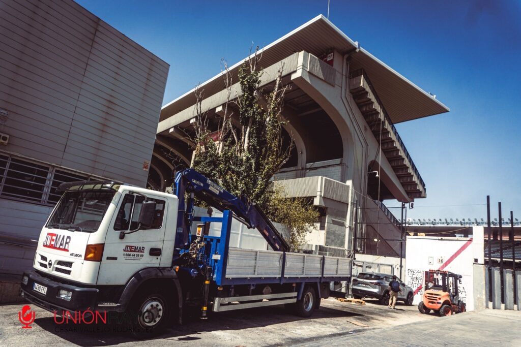 486ad766 1fe8 4bb2 a015 d6f20a6c75d2 1