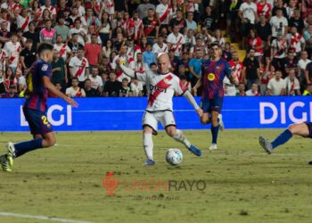 Cesped Vallecas