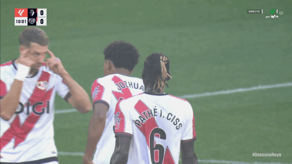 Vertrouwd osasuna