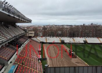 césped Estadio de Vallecas Rayo