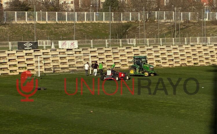 césped parches Ciudad Deportiva Campo 5 Rayo