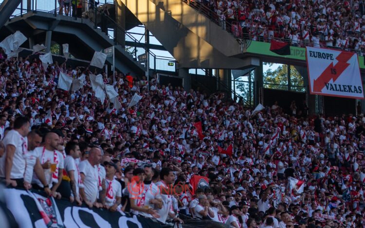 Galeria Rayo