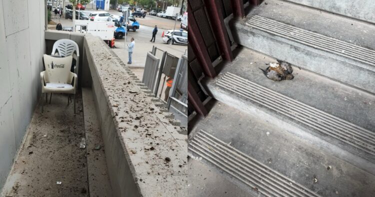 Aficionados del Rayo denuncian aún falta de mantenimiento en la vuelta del estadio de Vallecas 1 image